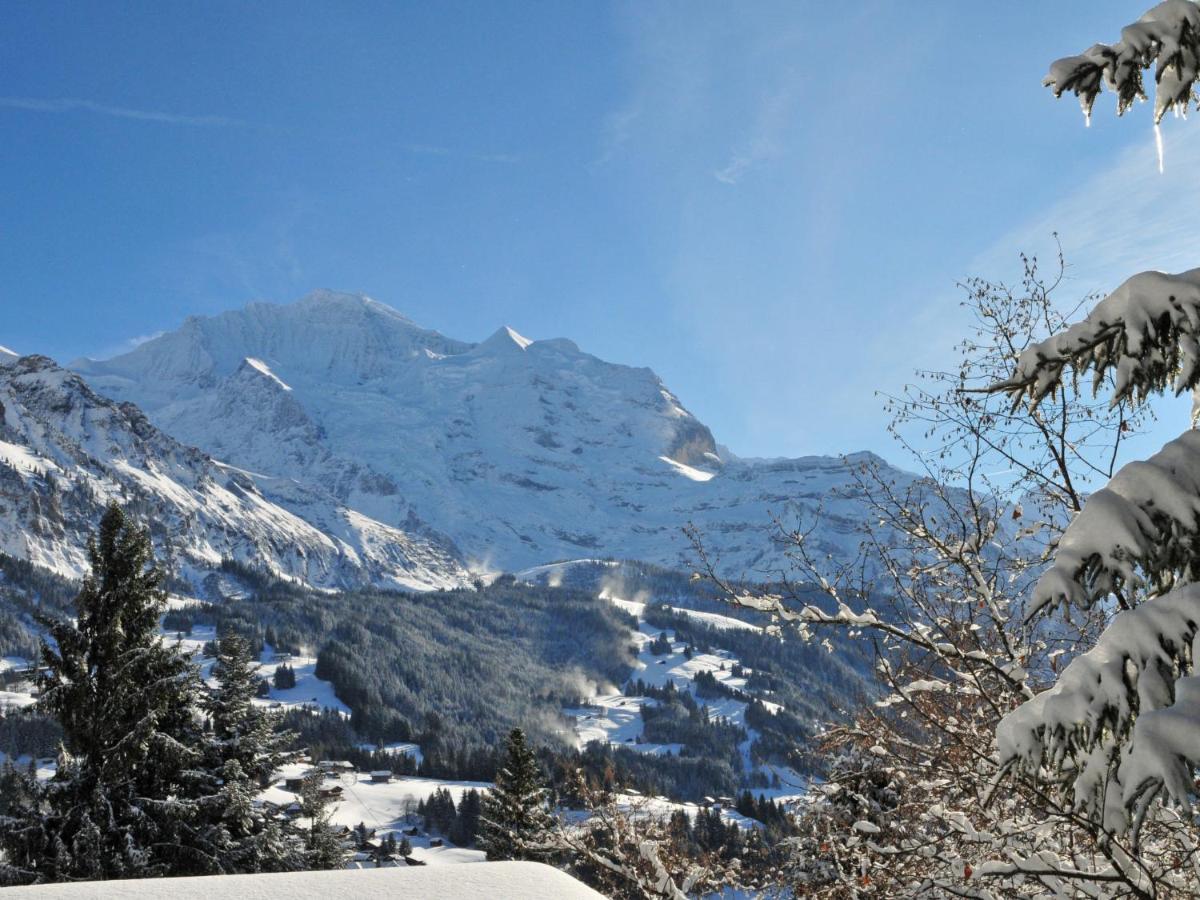 Apartment Goldenhorn Apt-F By Interhome Wengen Kültér fotó